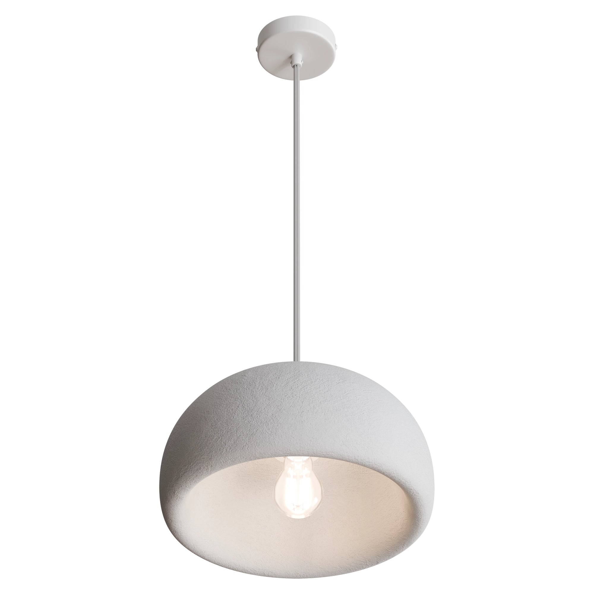 Passerine Dome Pendant