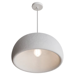 Passerine Dome Pendant