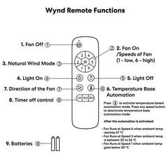Wynd 54" v3 DC Ceiling Fan Black with Natural Blades