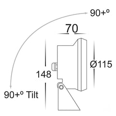 Sotto 12v LED Pond Light