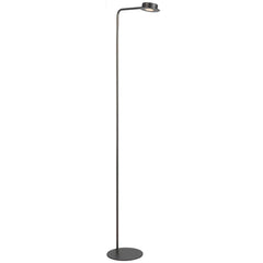 Tarell LED Floor Lamp