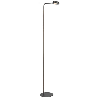 Tarell LED Floor Lamp