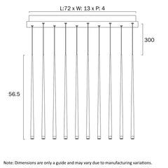 Trina 10LT Bar Pendant